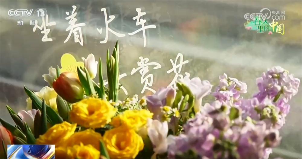 春天里的中国生机勃勃绘就锦绣画卷 “赏花经济”既有“颜值”又有“产值”