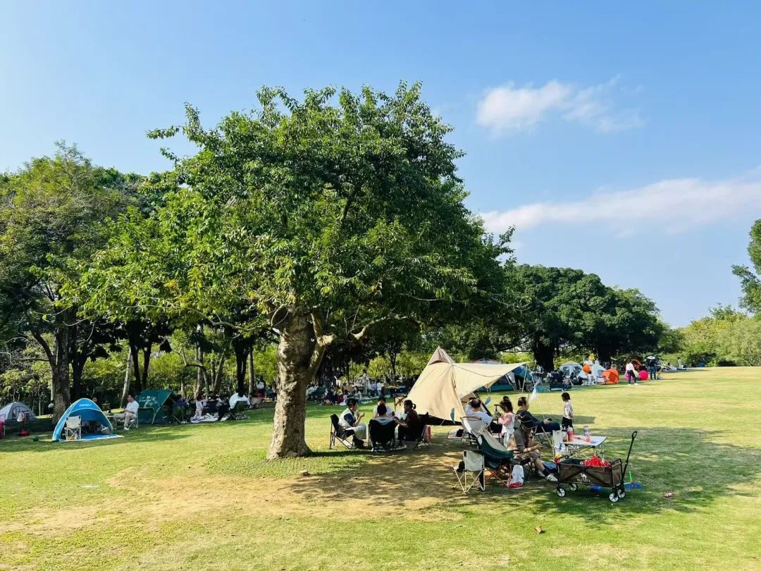 气温骤降！寒潮来袭，广西体验一夜入“冬”