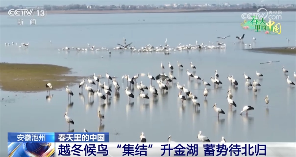 草长莺飞三月天 神州大地徐徐铺展一幅幅色彩斑斓的春日画卷