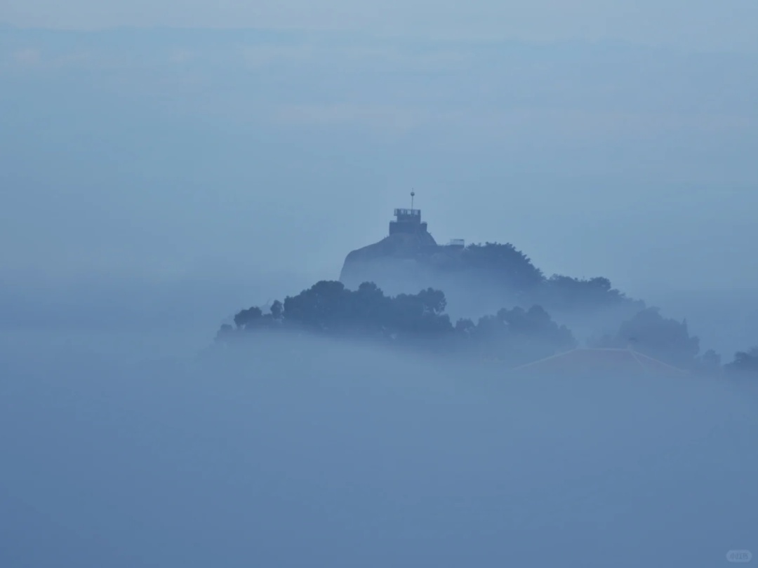 厦门惊现奇观!冲上热搜! 厦门惊现奇观!冲上热搜!