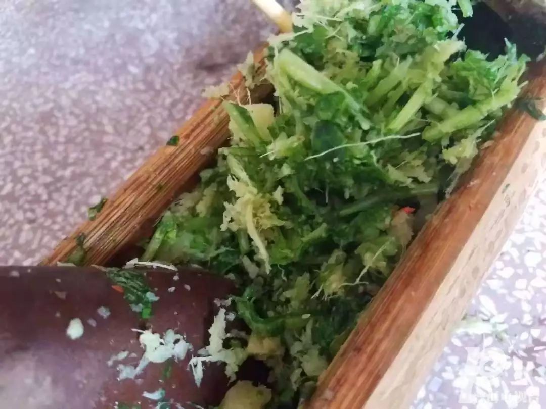 200元一斤！云南这种野菜你吃过吗？