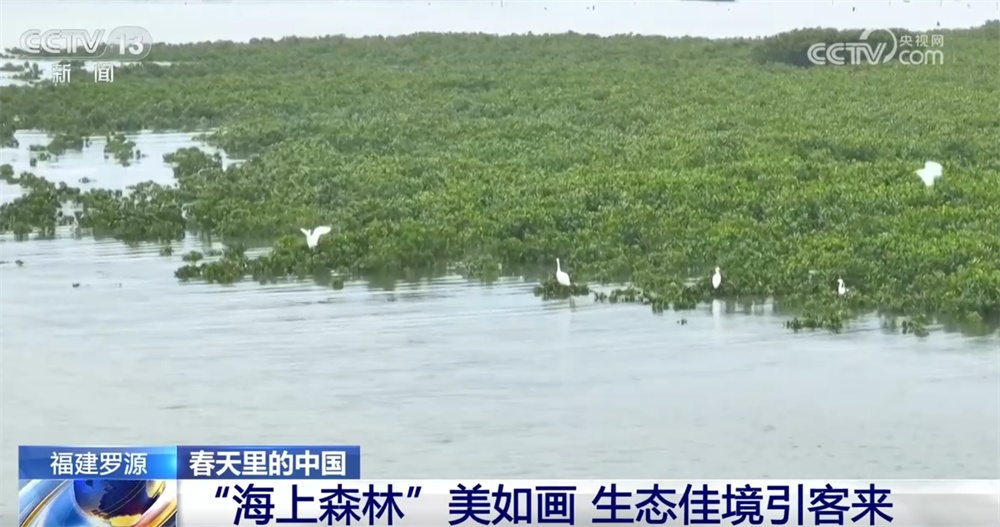 草长莺飞三月天 神州大地徐徐铺展一幅幅色彩斑斓的春日画卷