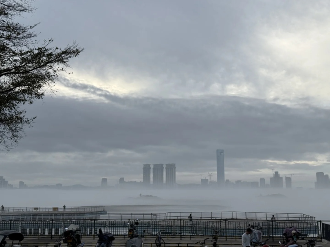 厦门惊现奇观!冲上热搜! 厦门惊现奇观!冲上热搜!