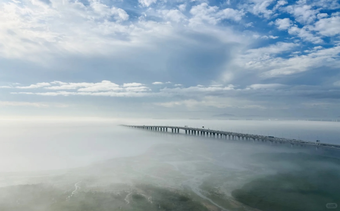 厦门惊现奇观!冲上热搜! 厦门惊现奇观!冲上热搜!