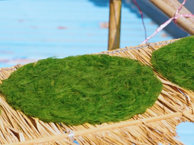 200元一斤！云南这种野菜你吃过吗？