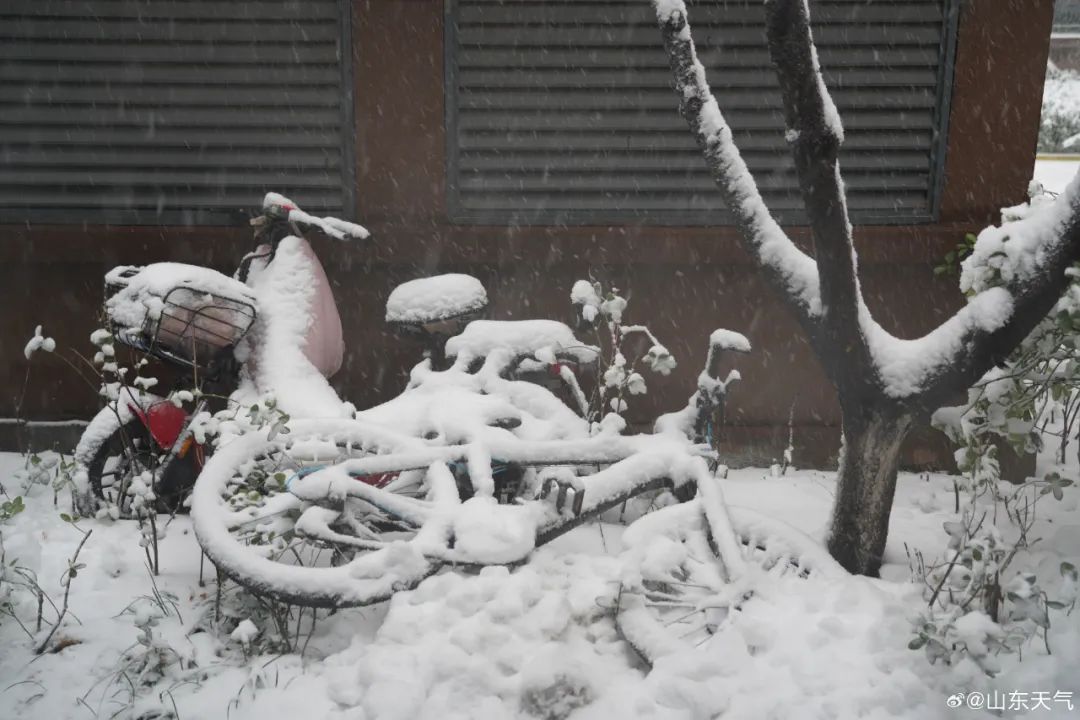 山东降雪持续！今明两天，5市有中到大雪，鲁西北局部小雪