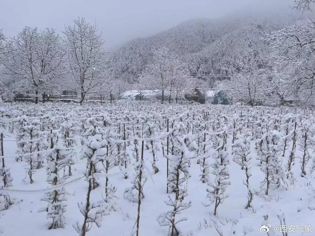 陕西多地今日降雪！预计夜间结束→