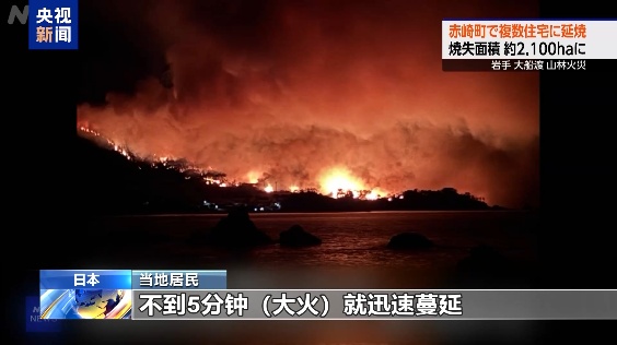 日本发生大规模山火,已有人死亡 日本发生大规模山火,已有人死亡