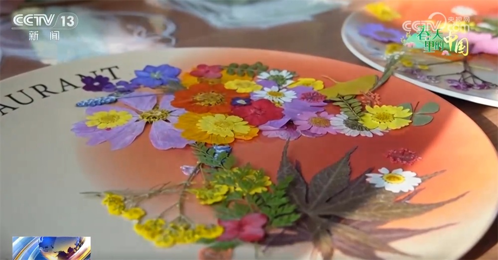 春天里的中国生机勃勃绘就锦绣画卷 “赏花经济”既有“颜值”又有“产值”