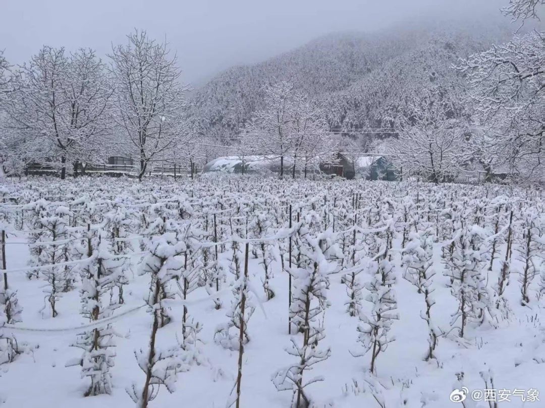 西安这里中到大雪！陕西部分高速收费站入口临时管控→