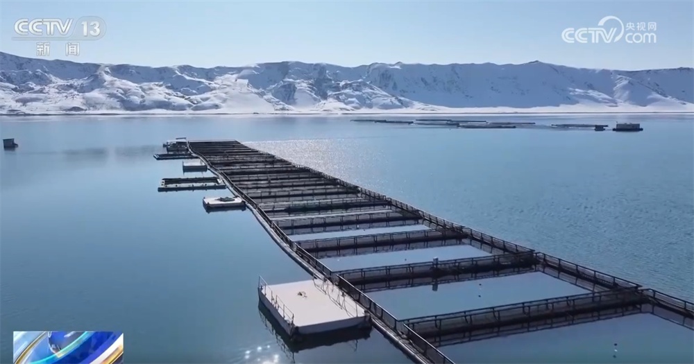 新疆伊犁冷水资源“游”出养殖产业 三文鱼国内国外备受青睐 新疆伊犁冷水资源“游”出养殖产业 三文鱼国内国外备受青睐