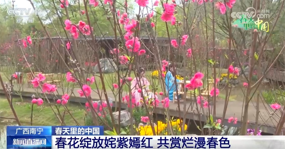春天里的中国生机勃勃绘就锦绣画卷 “赏花经济”既有“颜值”又有“产值”