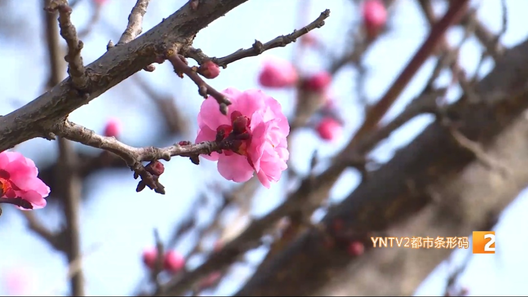 局地降温超14℃！雨雪、雷电、冰雹......云南发布重要天气预报！