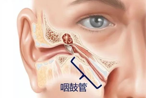 旅游一趟回来，女子面瘫了！这事每个人都要注意