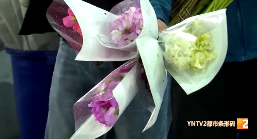 看着像菜，种子有毒，千万不能吃！昆明这种花正大量上市……