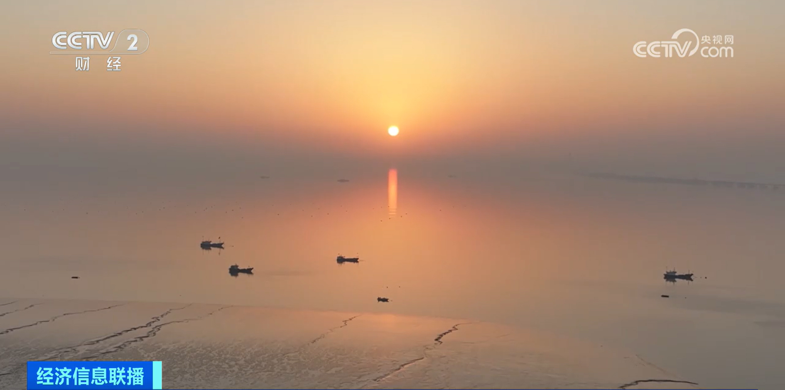 浙江海盐“追光游”火出圈 奔赴一场“浪漫”之约 浙江海盐“追光游”火出圈 奔赴一场“浪漫”之约