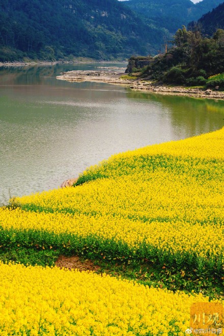 沱江春日大片上线 沱江春日大片上线