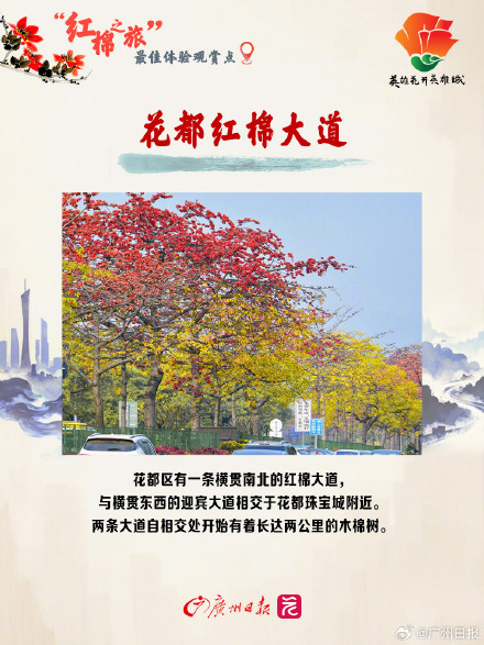 3月的广州被木棉花刷屏了,推荐这10个绝美打卡地 3月的广州被木棉花刷屏了,推荐这10个绝美打卡地