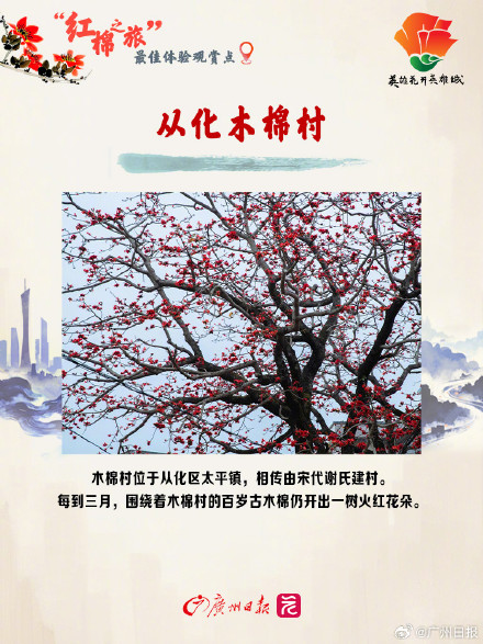 3月的广州被木棉花刷屏了,推荐这10个绝美打卡地 3月的广州被木棉花刷屏了,推荐这10个绝美打卡地