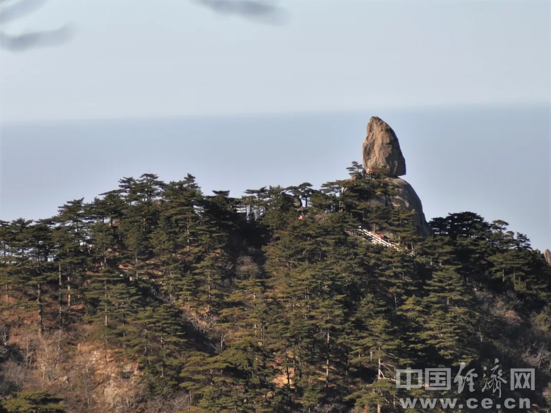 放假安排！就在本周，多地宣布：免费、半价