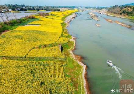 沱江春日大片上线 沱江春日大片上线