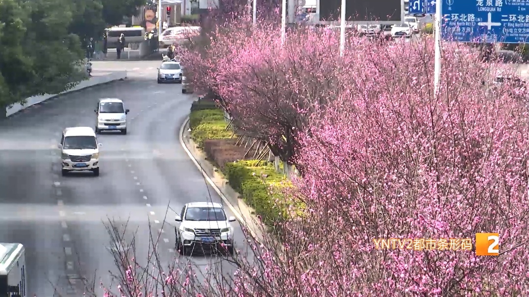 局地降温超14℃！雨雪、雷电、冰雹......云南发布重要天气预报！
