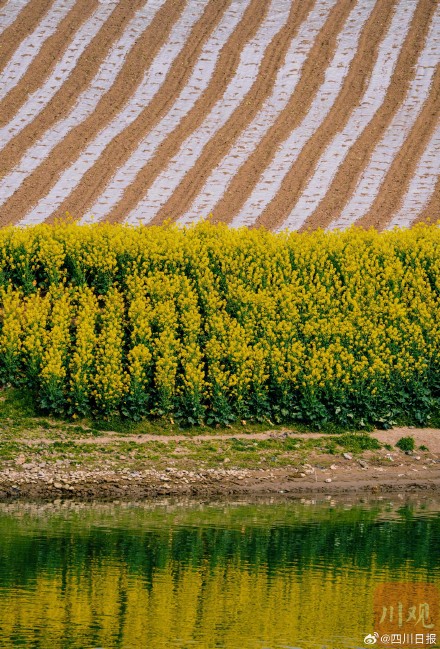 沱江春日大片上线 沱江春日大片上线
