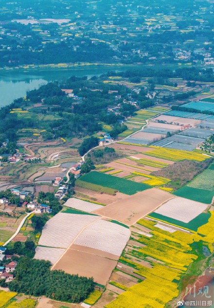 沱江春日大片上线 沱江春日大片上线