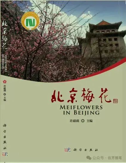 报春了，梅花为何“偏爱”北京这里？