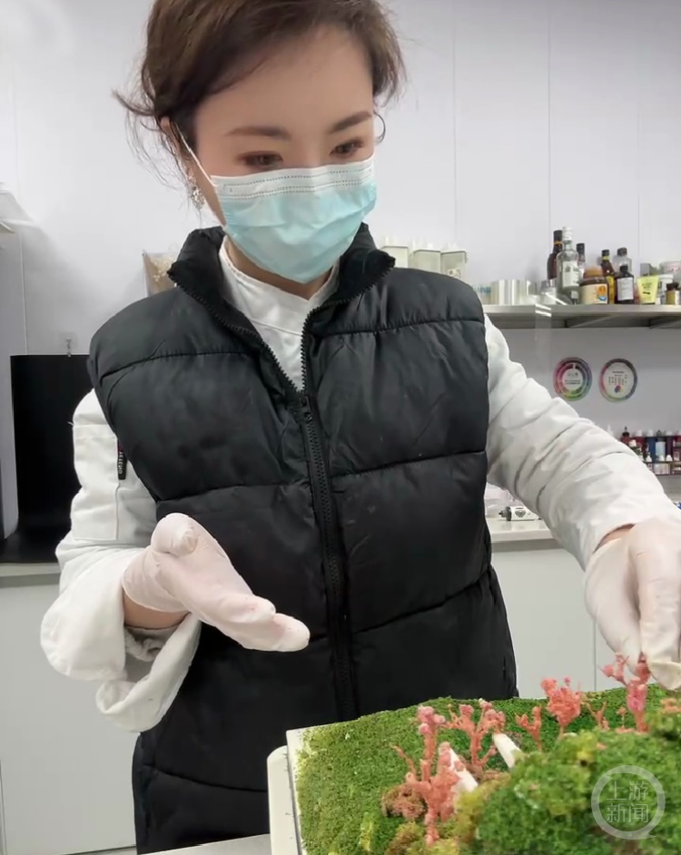 除了树都可以吃！糕点师把“开往春天的列车”做成蛋糕