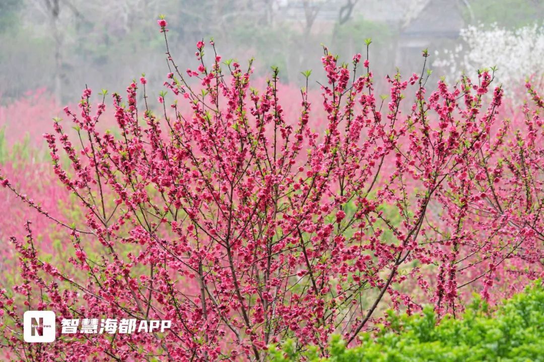 最低仅6.2℃!今天16时07分!福州正式进入…… 最低仅6.2℃!今天16时07分!福州正式进入……