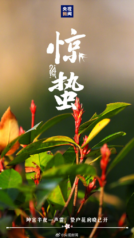 转发迎接！春季第三个节气到了