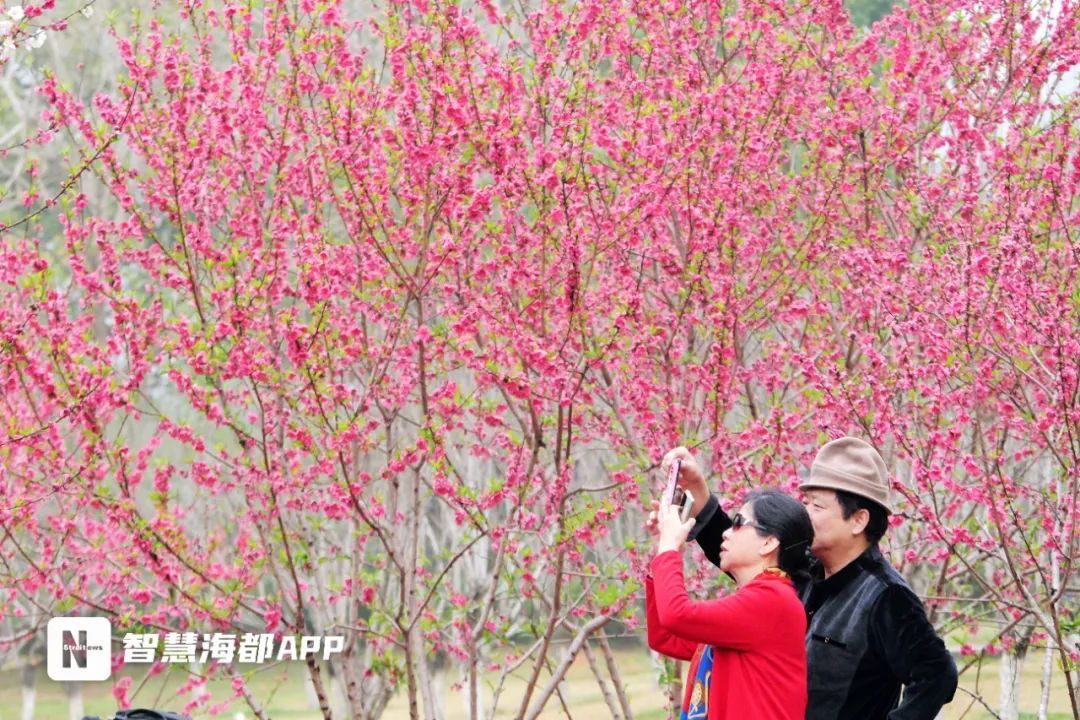 最低仅6.2℃!今天16时07分!福州正式进入…… 最低仅6.2℃!今天16时07分!福州正式进入……