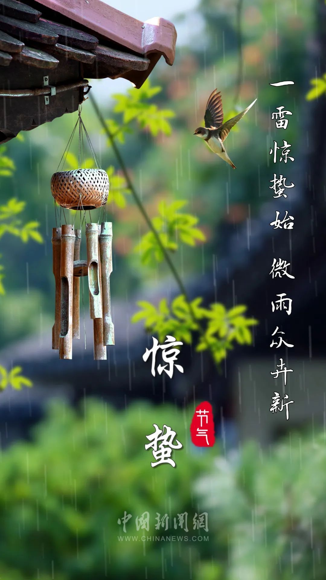 “微雨众卉新，一雷惊蛰始”（惊蛰朋友圈文案来了）
