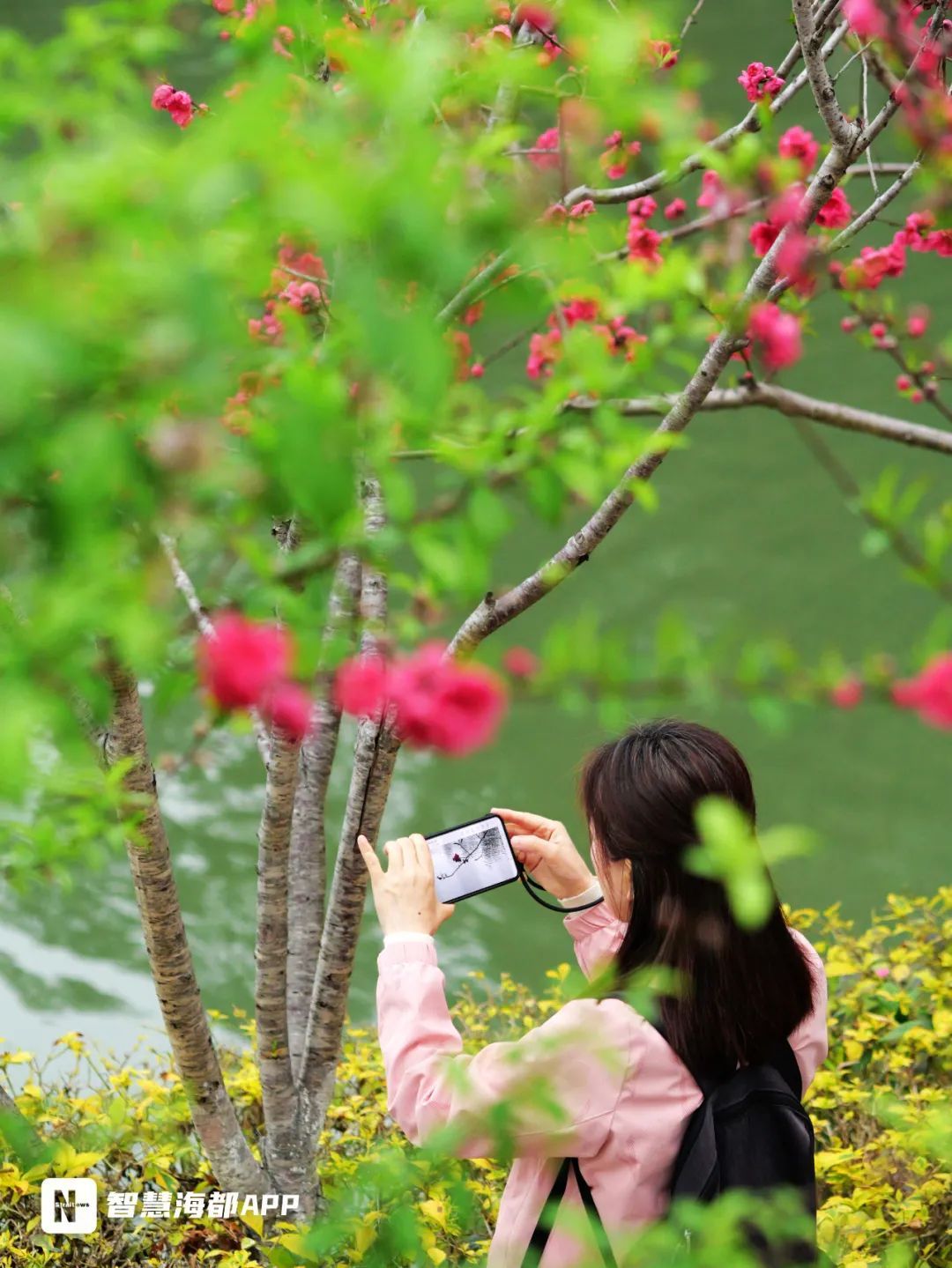 最低仅6.2℃!今天16时07分!福州正式进入…… 最低仅6.2℃!今天16时07分!福州正式进入……