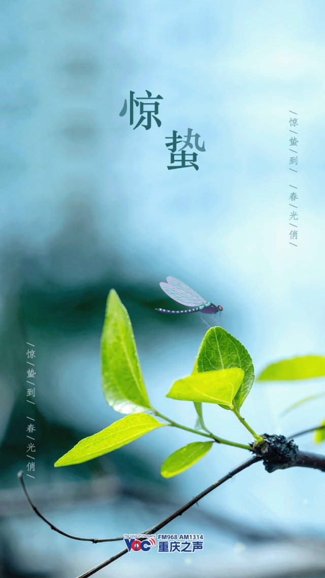 二十四节气 | 惊蛰!春雷响,万物长 二十四节气 | 惊蛰!春雷响,万物长