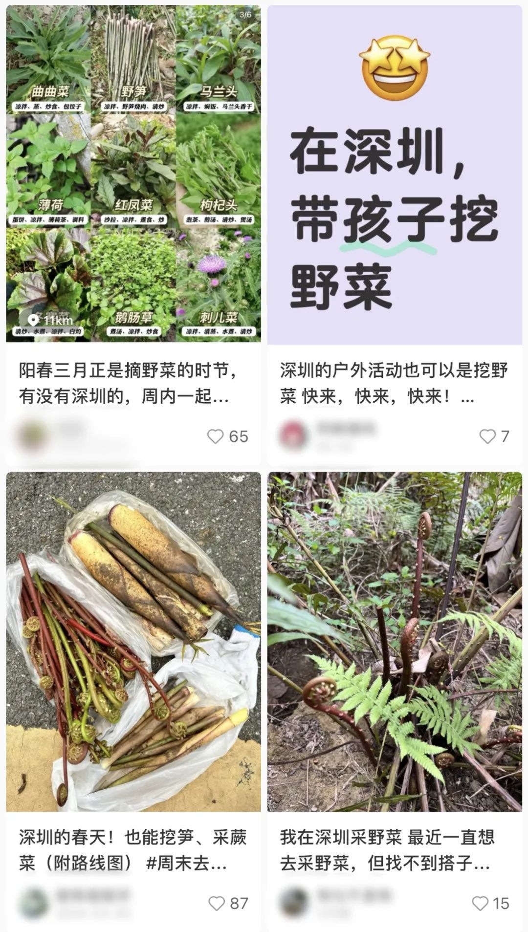 春季高发！不要采！不要吃！