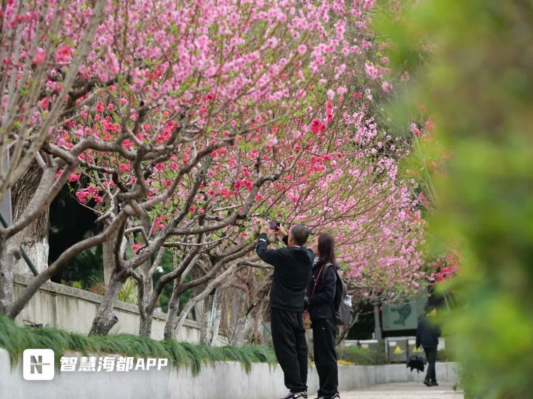 最低仅6.2℃!今天16时07分!福州正式进入…… 最低仅6.2℃!今天16时07分!福州正式进入……
