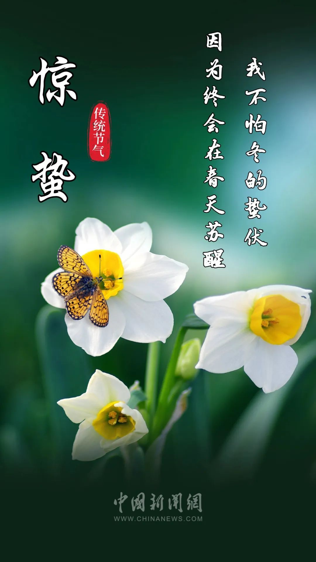 “微雨众卉新，一雷惊蛰始”（惊蛰朋友圈文案来了）