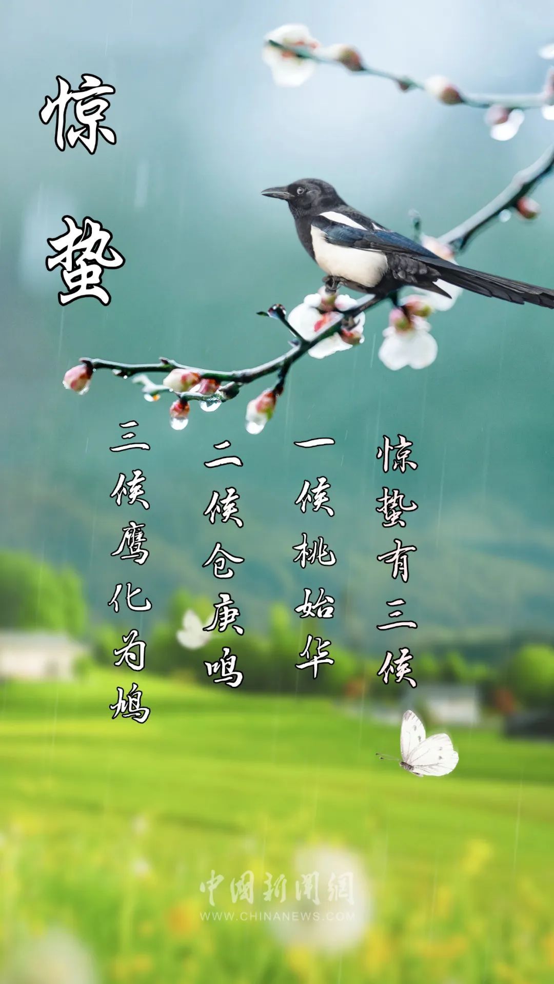 “微雨众卉新，一雷惊蛰始”（惊蛰朋友圈文案来了）