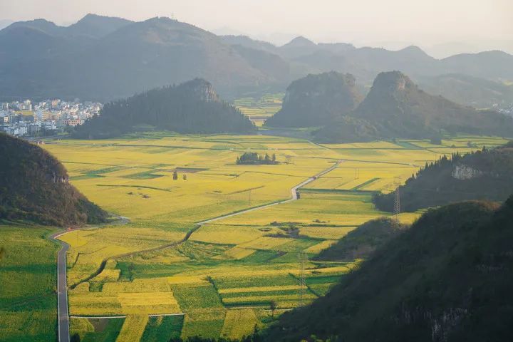 今日惊蛰，要做这些事！