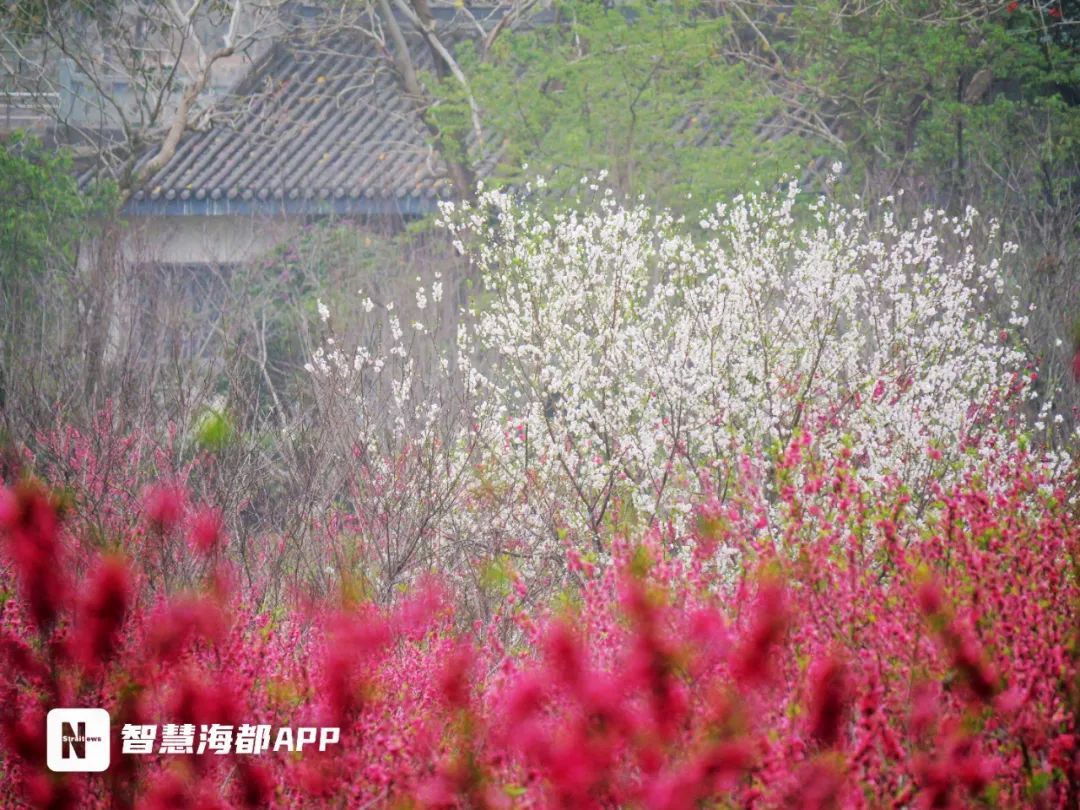 最低仅6.2℃!今天16时07分!福州正式进入…… 最低仅6.2℃!今天16时07分!福州正式进入……