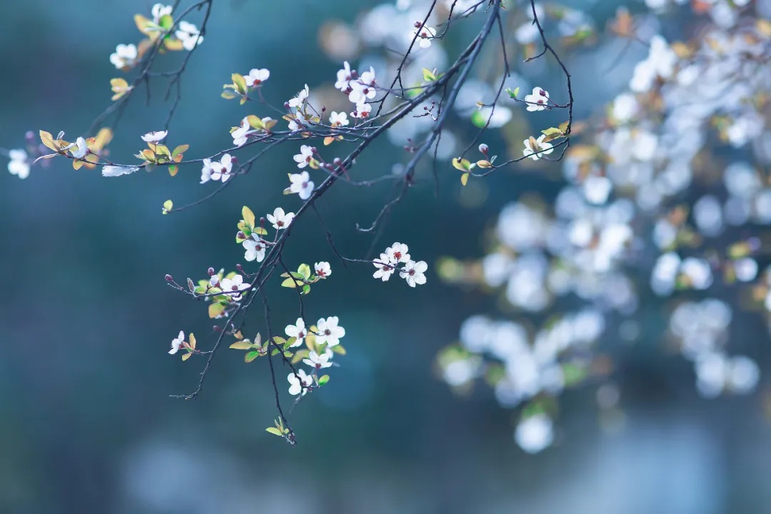 今日惊蛰，要做这些事！