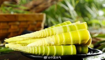 惊蛰 节气赏味地图出炉 邂逅各地春日限定美味