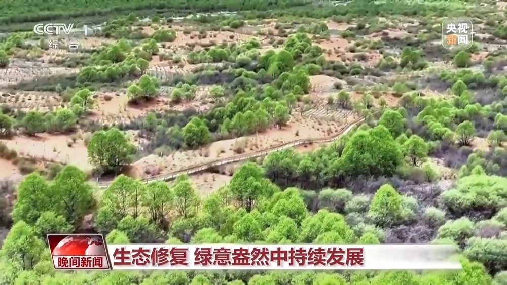 多维度 很亮眼！我国绿色发展交答卷