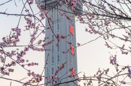 南工大有自己的“梅花山” 南工大有自己的“梅花山”