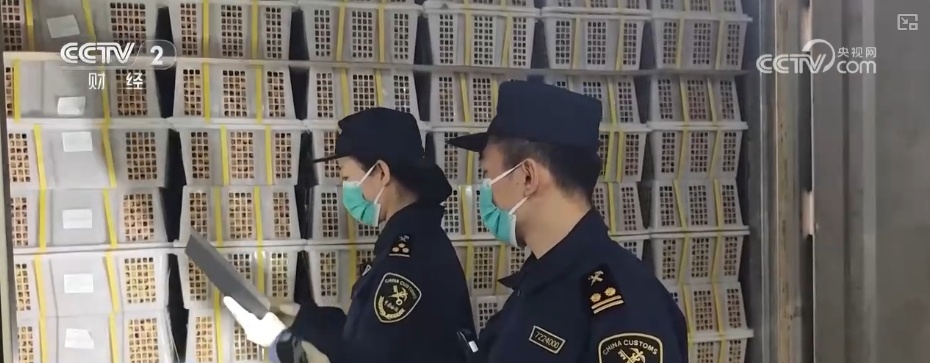 4.05万亿元、8.3%,首次突破!开放通道跑出“新速度” 4.05万亿元、8.3%,首次突破!开放通道跑出“新速度”