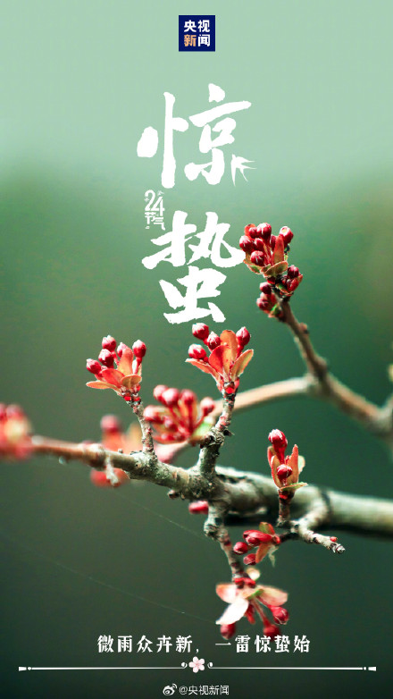 转发迎接！春季第三个节气到了