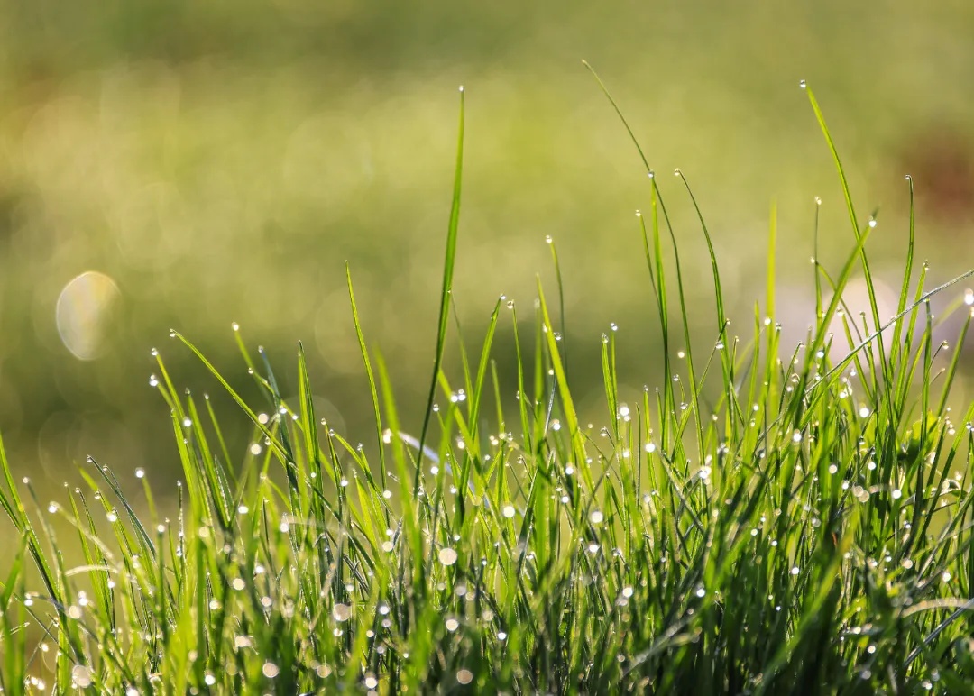 今日惊蛰，要做这些事！