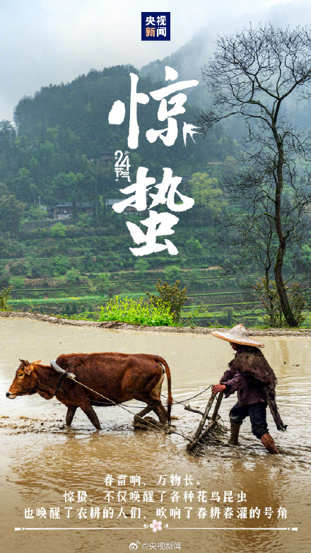 转发迎接！春季第三个节气到了